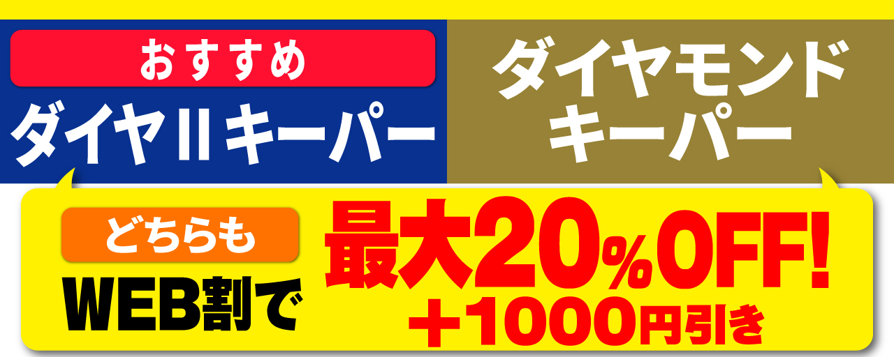 エコダイヤ・Wダイヤキーパー